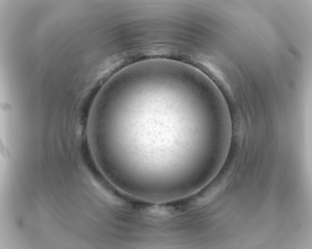 X0000090960261200708091400