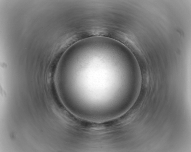 X0000090960263200708091400