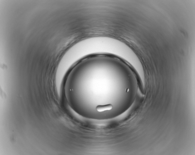 X0000090960264200708091400