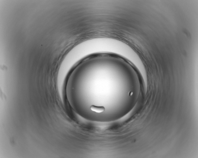 X0000090960268200708091400
