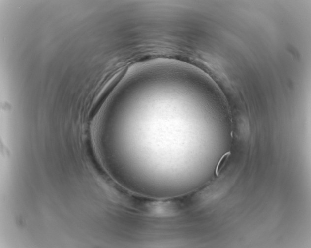 X0000090960273200708091400