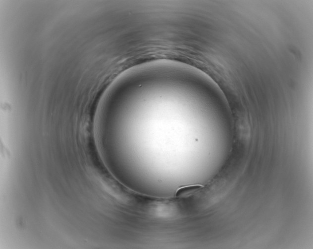 X0000090960275200708091400