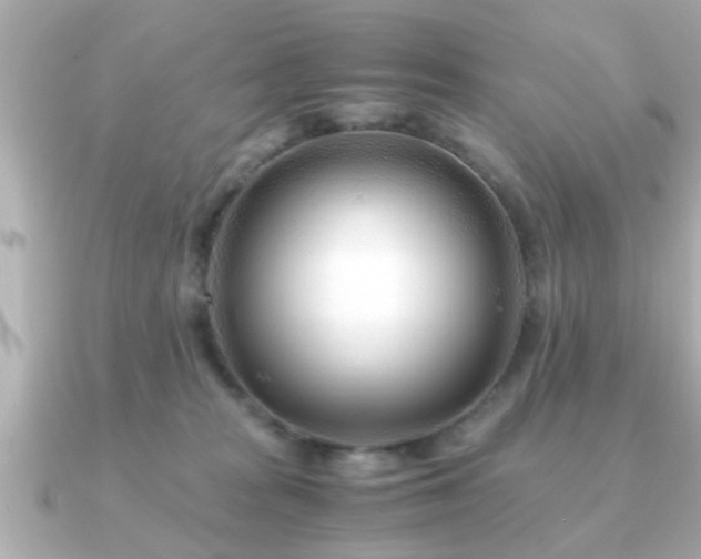 X0000090960277200708091400