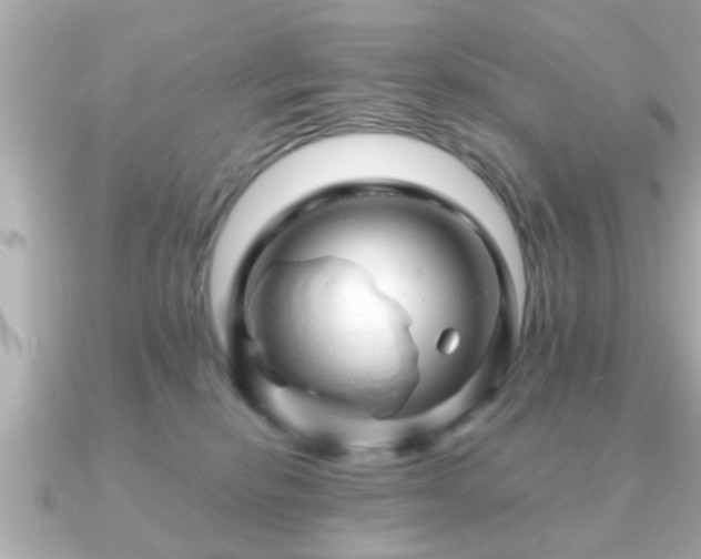 X0000090960278200708091400