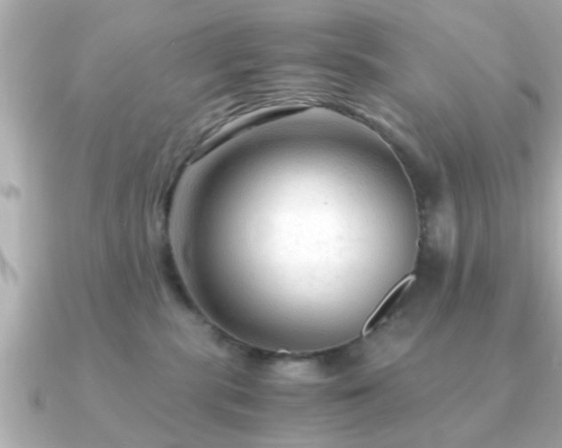 X0000090960283200708091400