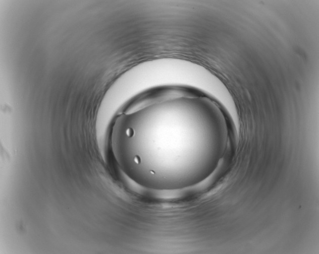 X0000090960286200708091400