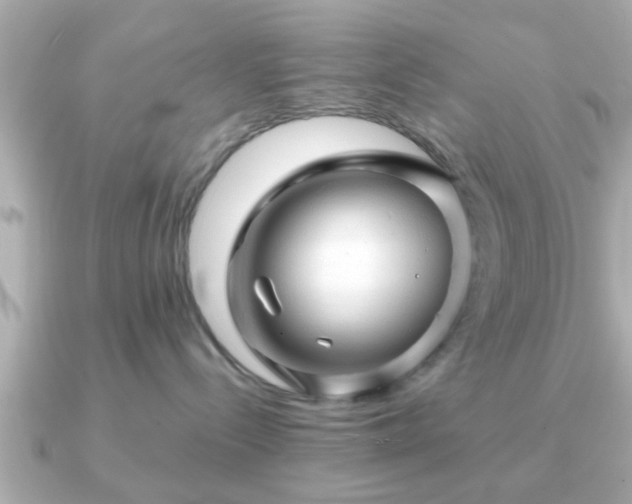 X0000090960288200708091400