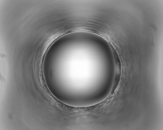 X0000090960289200708091359