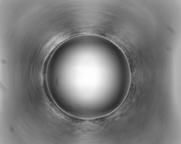 X0000090960290200708091359