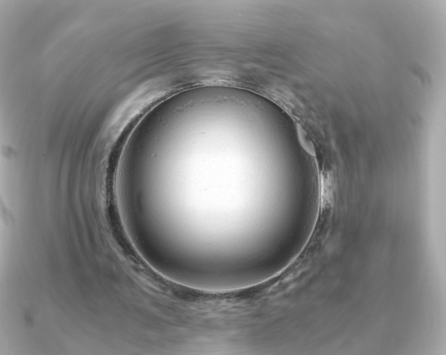 X0000090960291200708091359