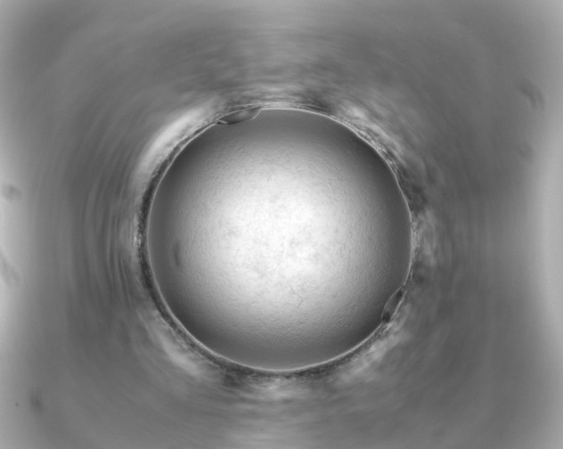X0000090960293200708091359