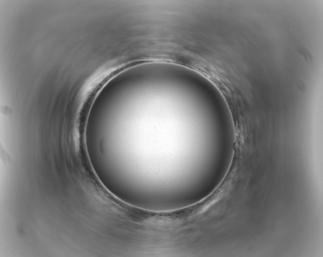 X0000090960294200708091359