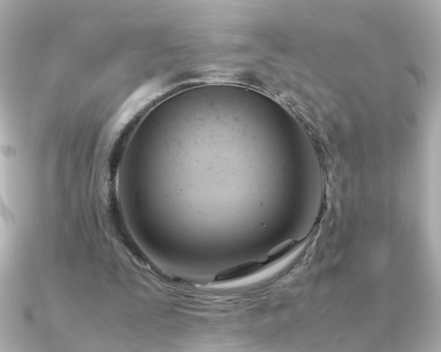 X0000090960295200708091359