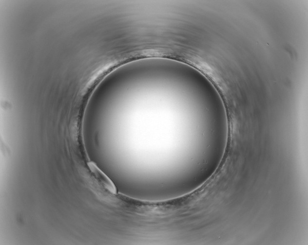 X0000090960297200708091359