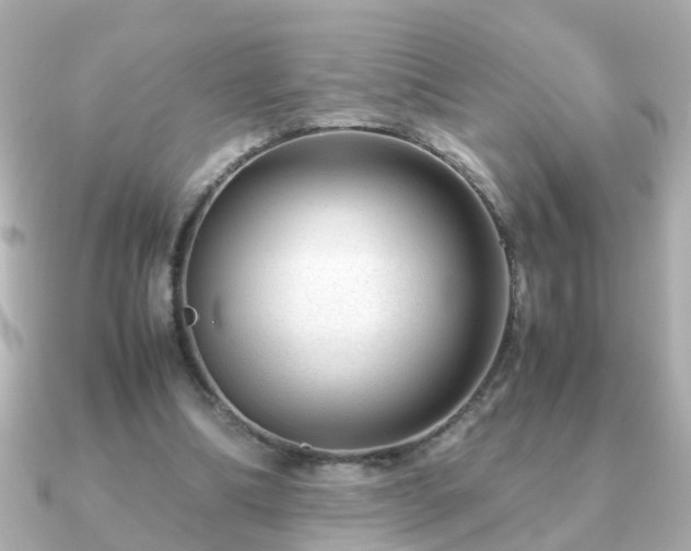 X0000090960298200708091359