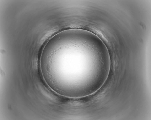 X0000090960299200708091359