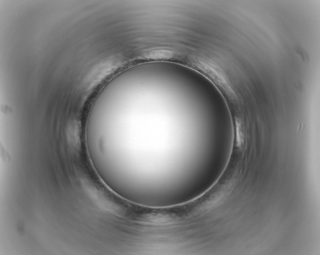 X0000090960300200708091359