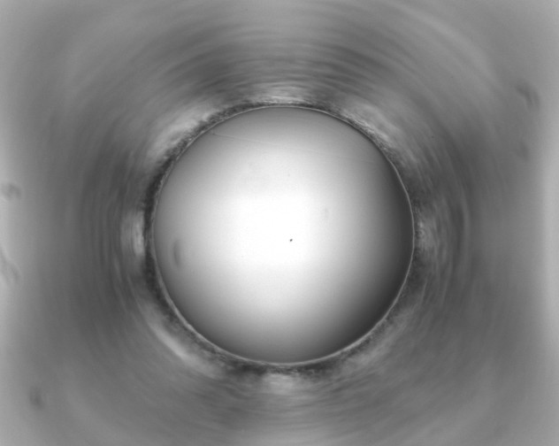 X0000090960302200708091359