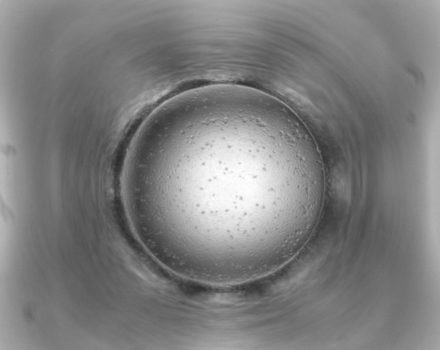 X0000090960303200708091359