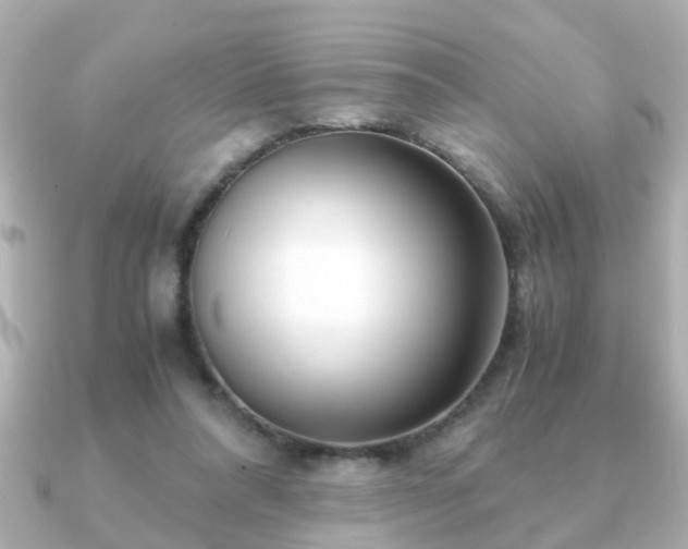 X0000090960304200708091359