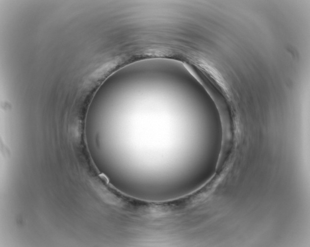 X0000090960305200708091359
