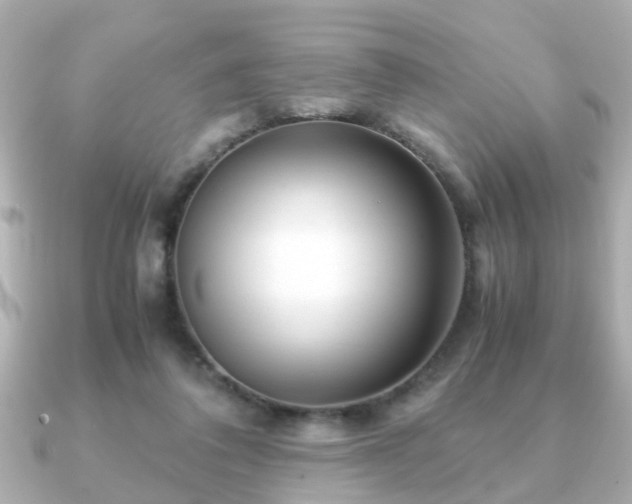 X0000090960308200708091359
