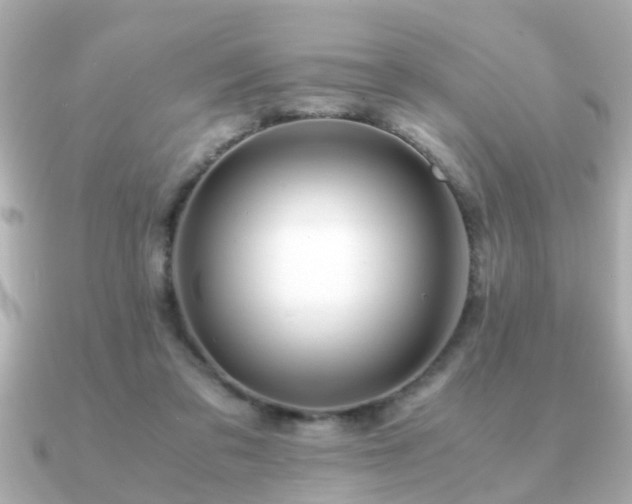 X0000090960309200708091359