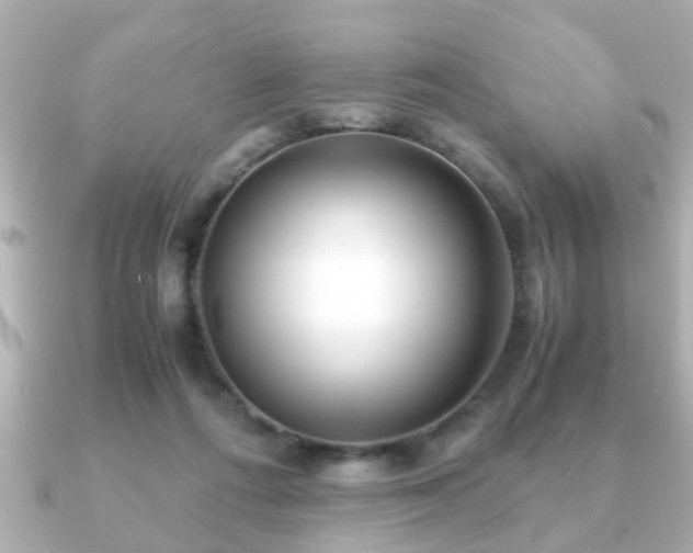X0000090960312200708091359