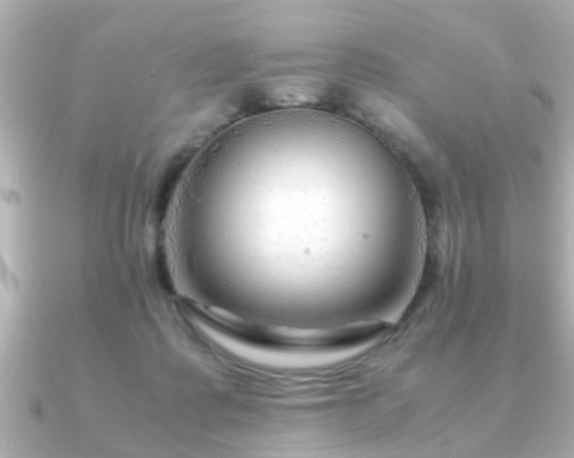 X0000090960315200708091359
