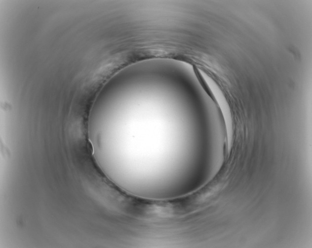 X0000090960317200708091359