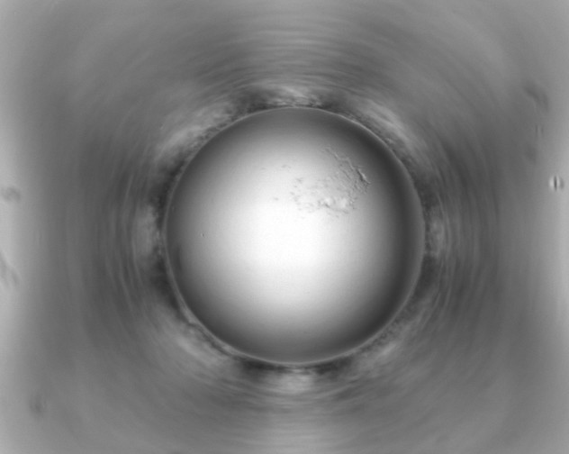 X0000090960318200708091359