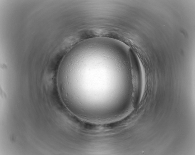 X0000090960319200708091359