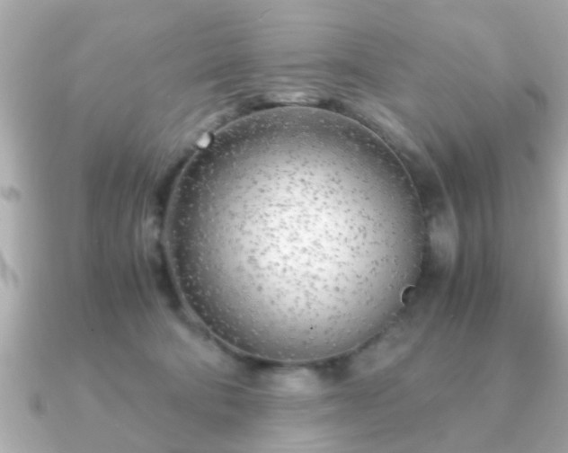 X0000090960322200708091359