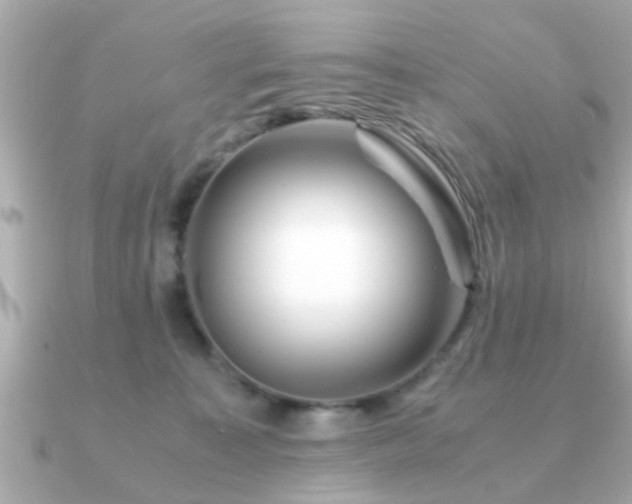 X0000090960323200708091359