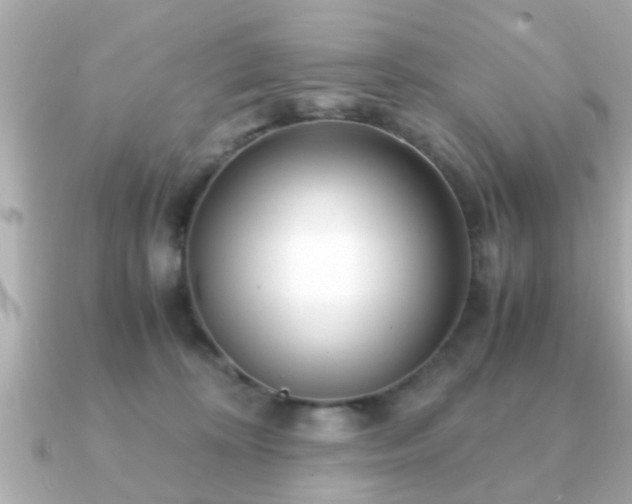 X0000090960324200708091359