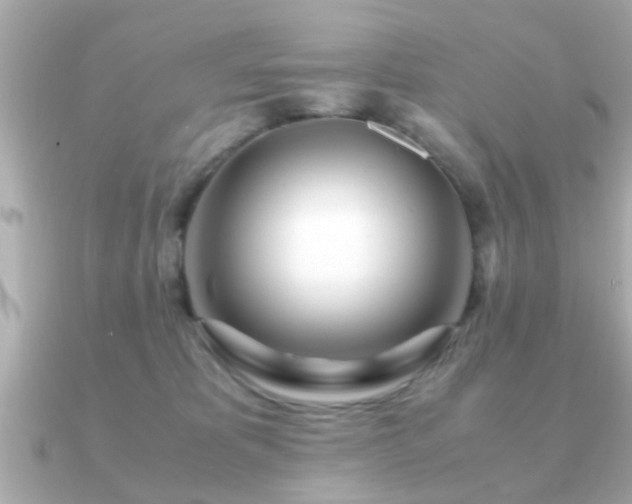X0000090960325200708091359