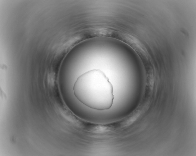 X0000090960326200708091359