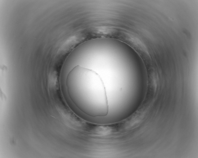 X0000090960328200708091359