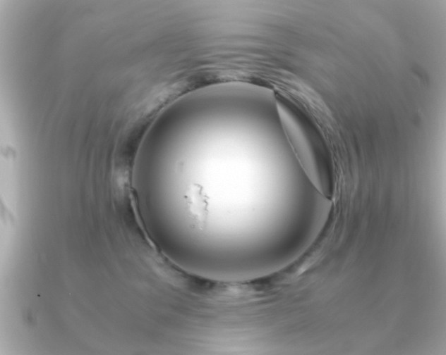 X0000090960329200708091359
