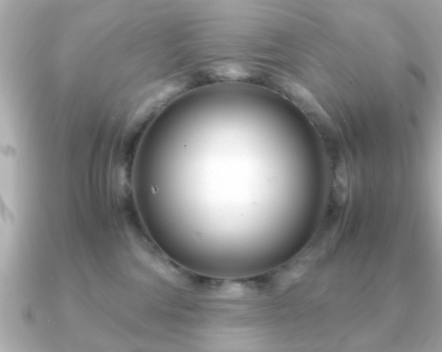 X0000090960330200708091359