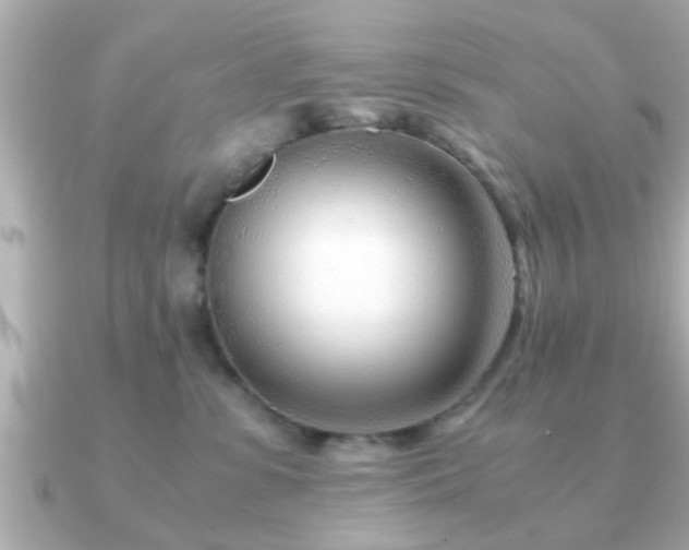 X0000090960331200708091359