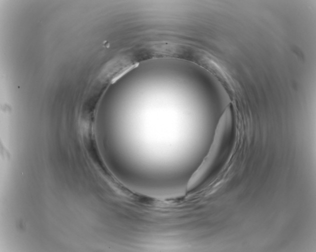 X0000090960333200708091359