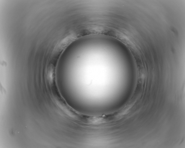 X0000090960334200708091359