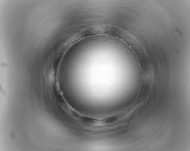 X0000090960335200708091359