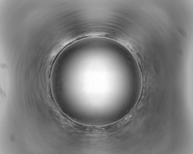 X0000090960337200708091358