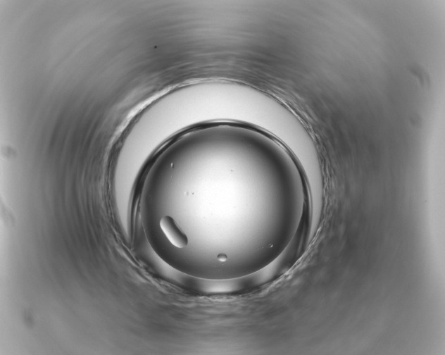 X0000090960338200708091358