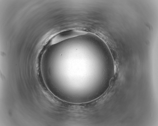 X0000090960339200708091358