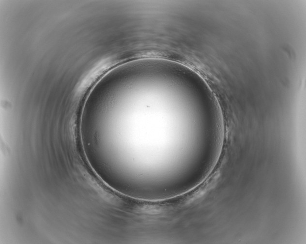 X0000090960341200708091358