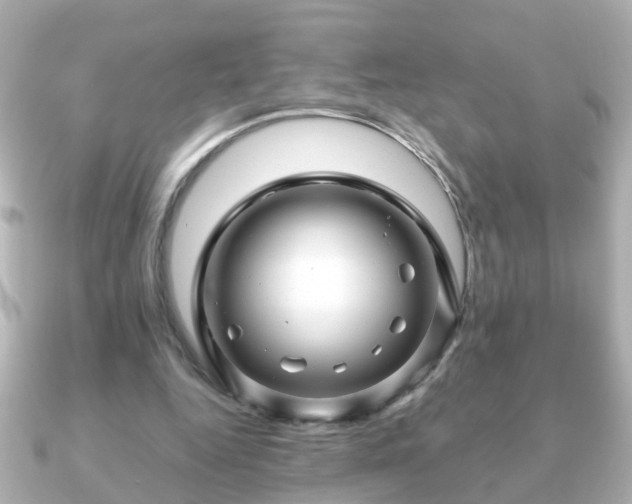 X0000090960344200708091358
