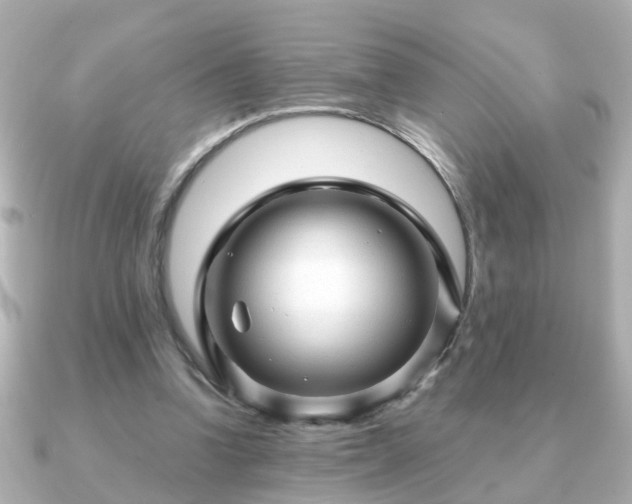 X0000090960346200708091358